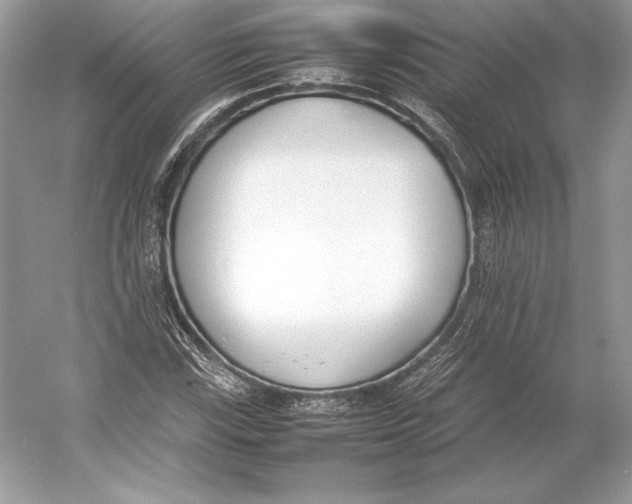 X0000052951115200508050915