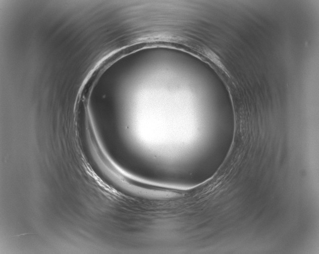 X0000052951116200508050915