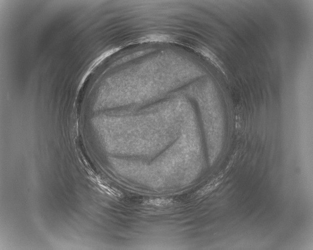 X0000052951117200508050915