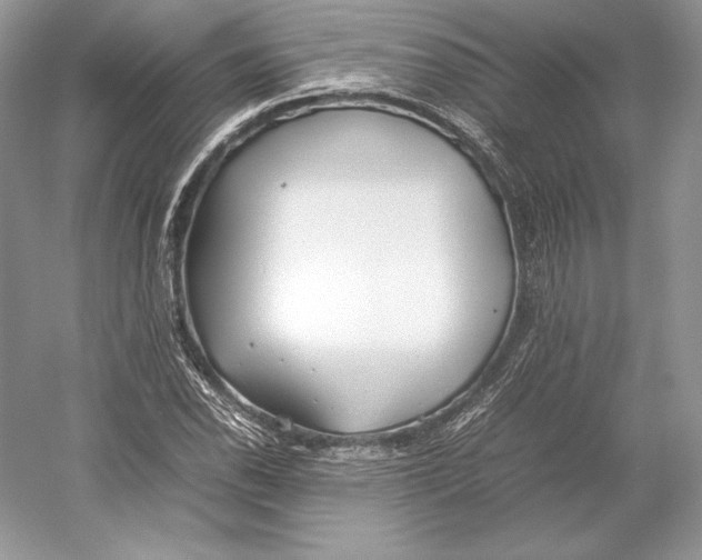 X0000052951118200508050915