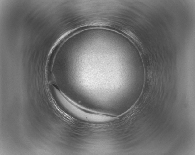 X0000052951120200508050915