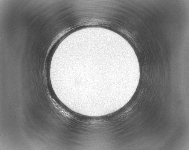 X0000052951122200508050915