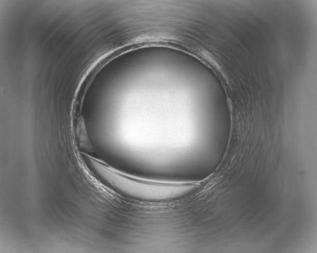 X0000052951124200508050915