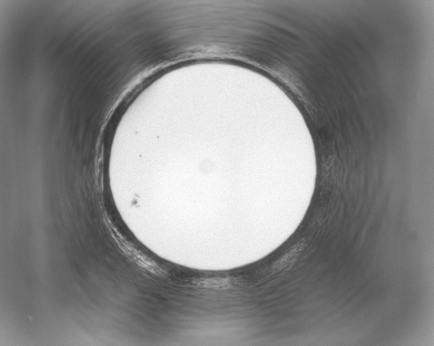 X0000052951126200508050915