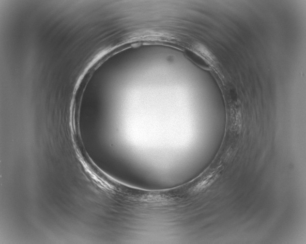 X0000052951128200508050915