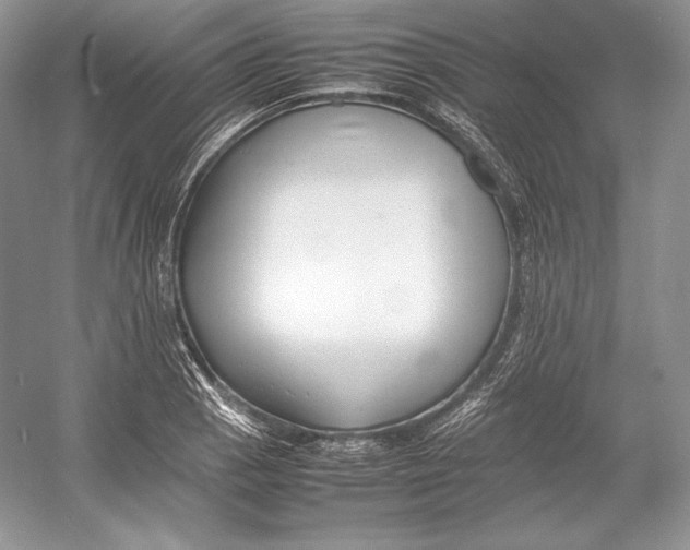 X0000052951129200508050915