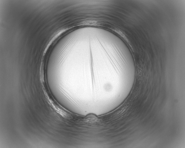 X0000052951131200508050915