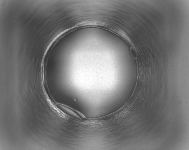 X0000052951132200508050915