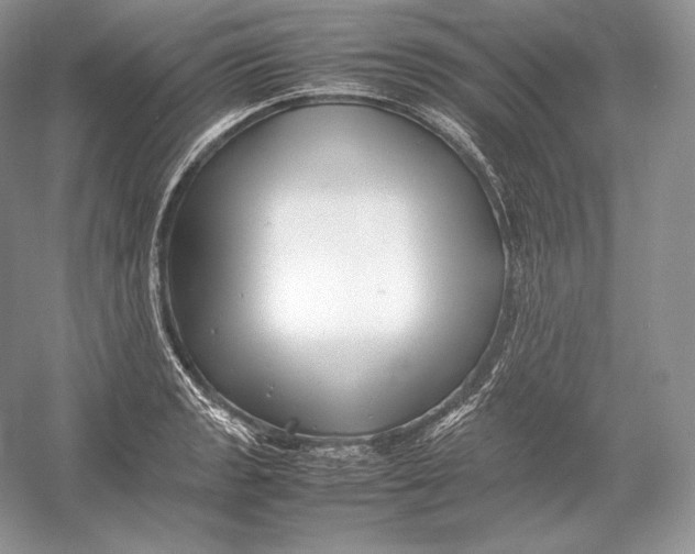 X0000052951133200508050915