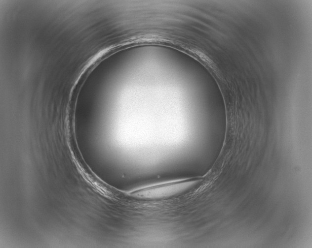 X0000052951134200508050915