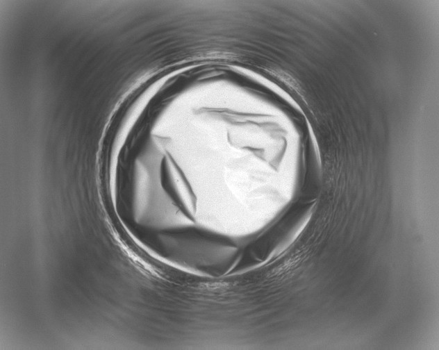 X0000052951135200508050915