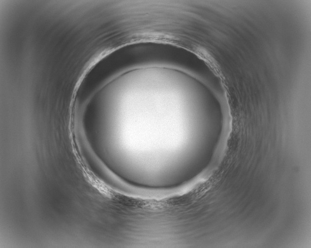X0000052951136200508050915
