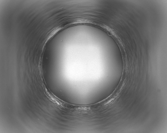 X0000052951137200508050915