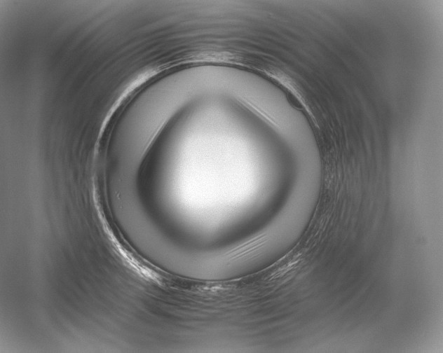 X0000052951139200508050915