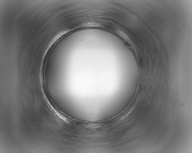 X0000052951141200508050915