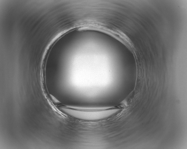 X0000052951144200508050915