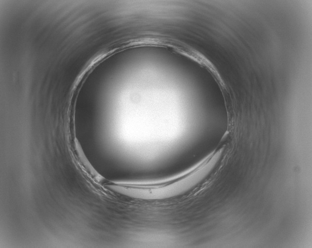 X0000052951146200508050915