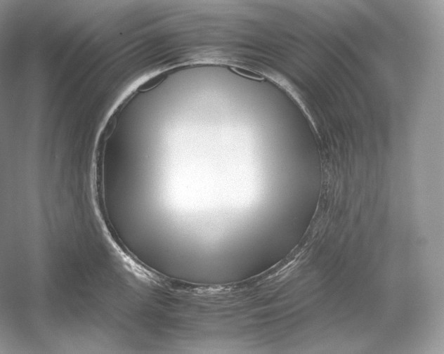 X0000052951147200508050915