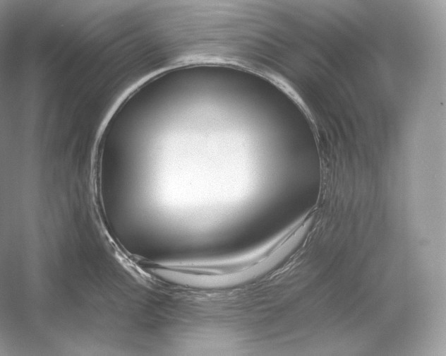 X0000052951148200508050915