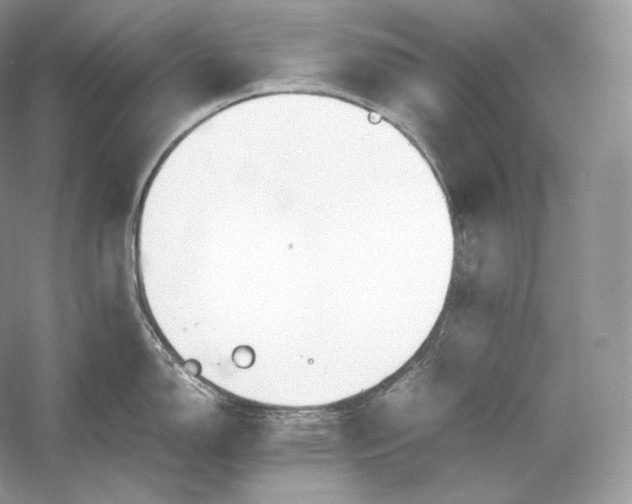 X0000052951150200508050915