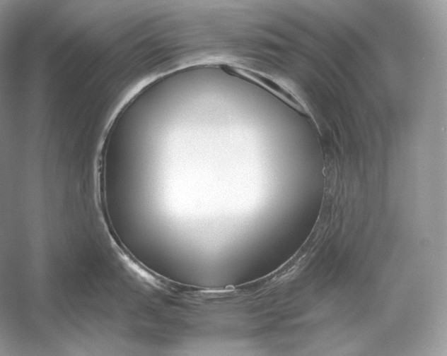 X0000052951151200508050915