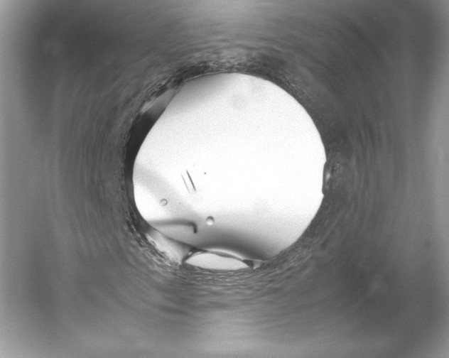 X0000052951153200508050914