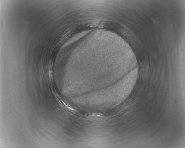 X0000052951154200508050914
