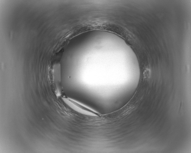 X0000052951156200508050914