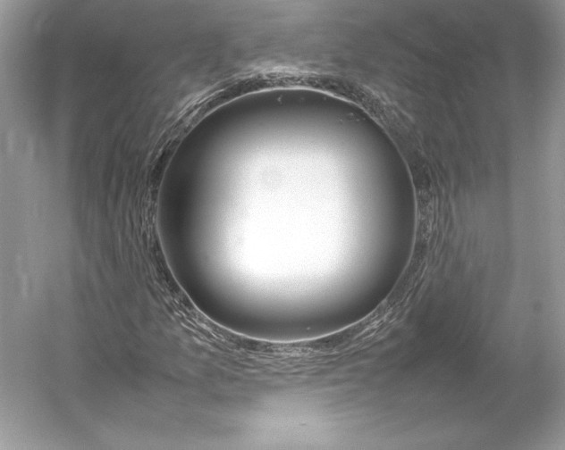 X0000052951157200508050914