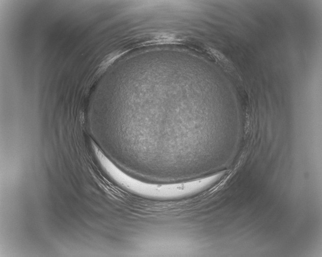 X0000052951161200508050914