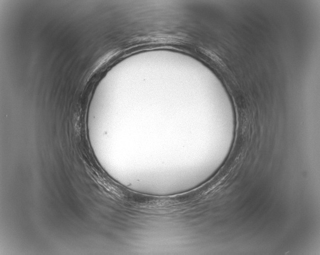 X0000052951163200508050914