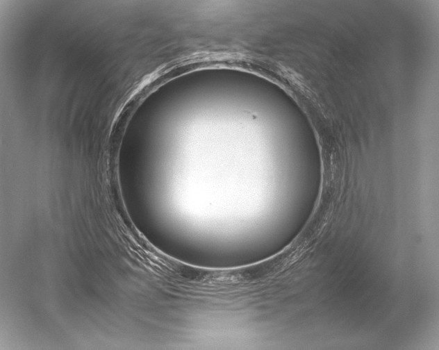 X0000052951165200508050914