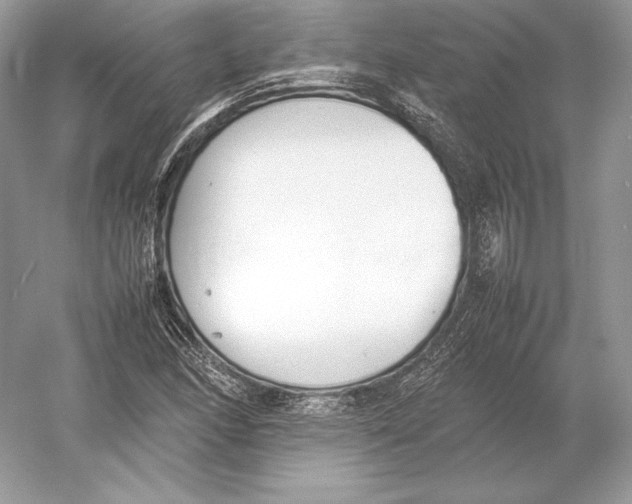 X0000052951166200508050914