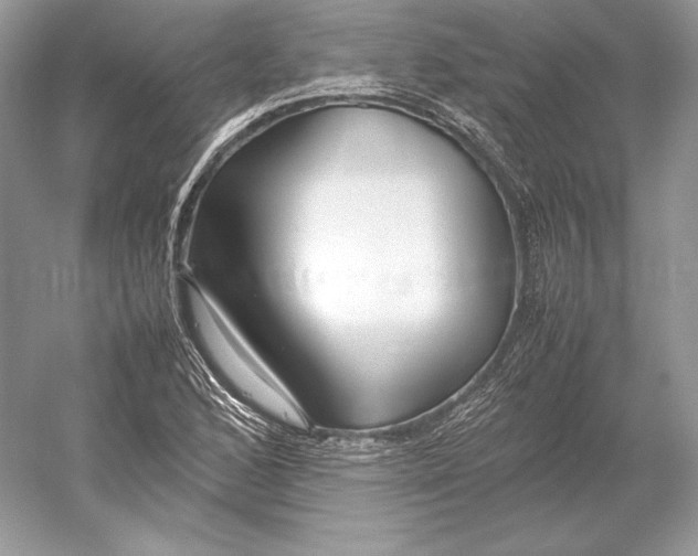 X0000052951168200508050914