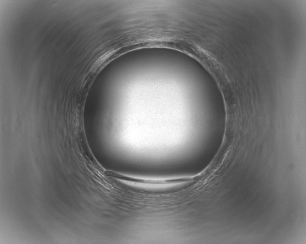 X0000052951169200508050914