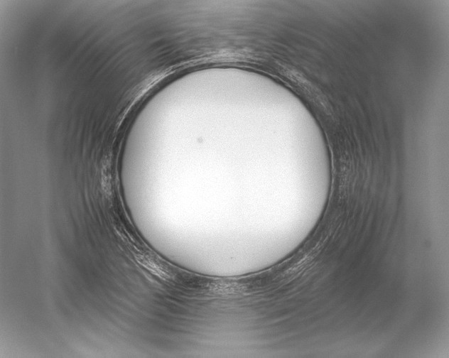 X0000052951170200508050914