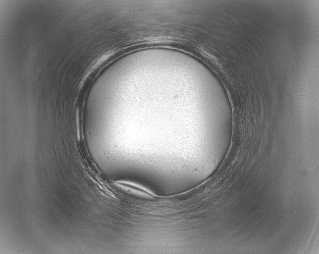 X0000052951171200508050914