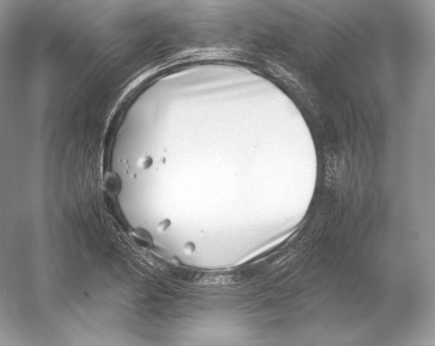 X0000052951174200508050914