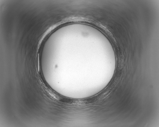 X0000052951175200508050914