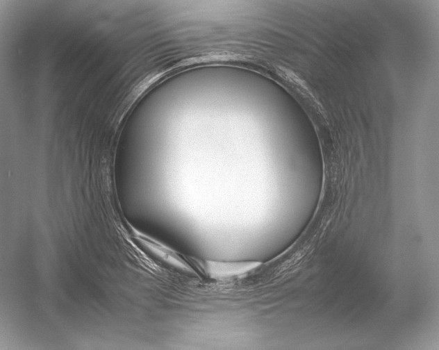 X0000052951177200508050914