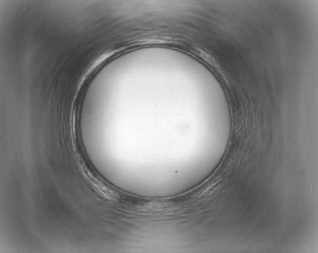 X0000052951179200508050914