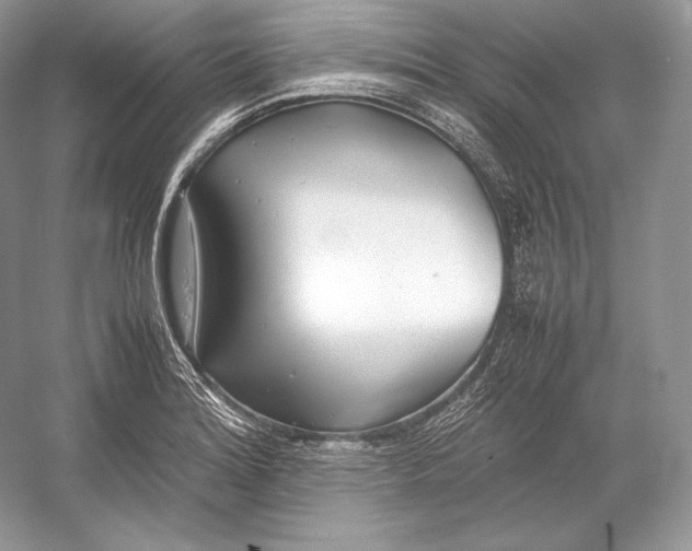 X0000052951180200508050914