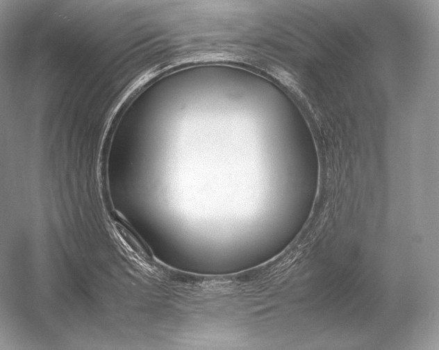 X0000052951181200508050914