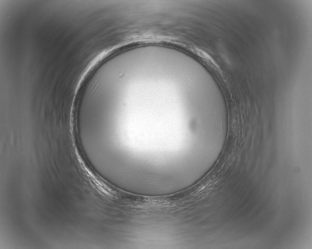 X0000052951183200508050914