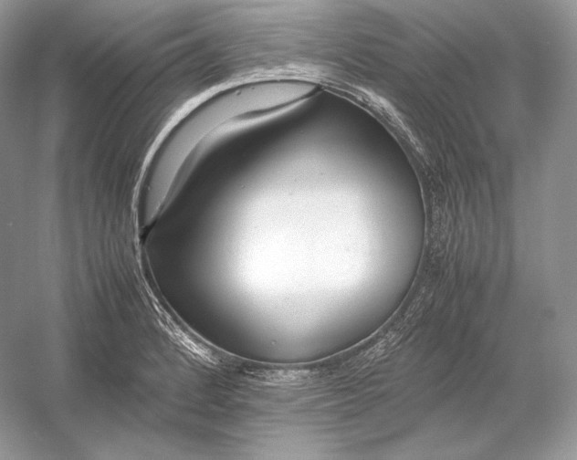 X0000052951184200508050914