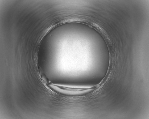 X0000052951185200508050914
