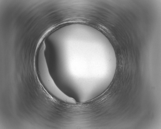 X0000052951188200508050914