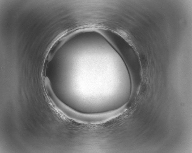 X0000052951189200508050914