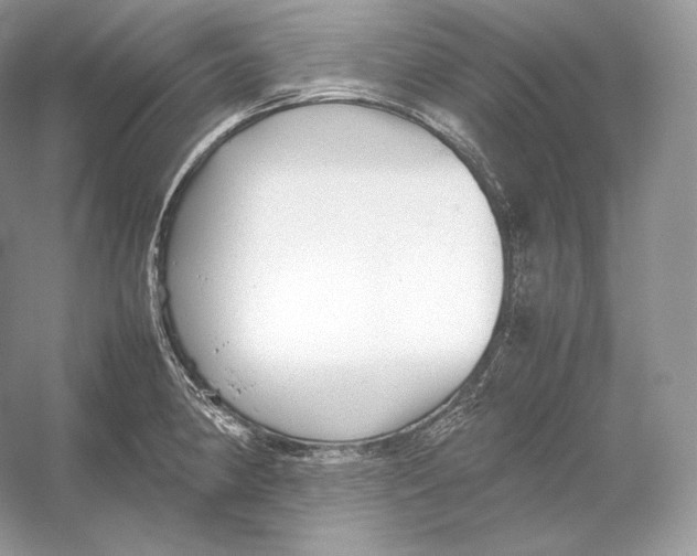 X0000052951190200508050914