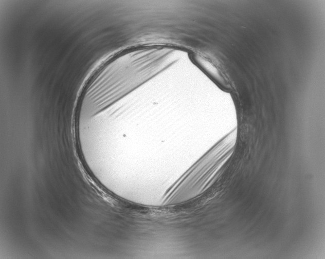X0000052951191200508050914